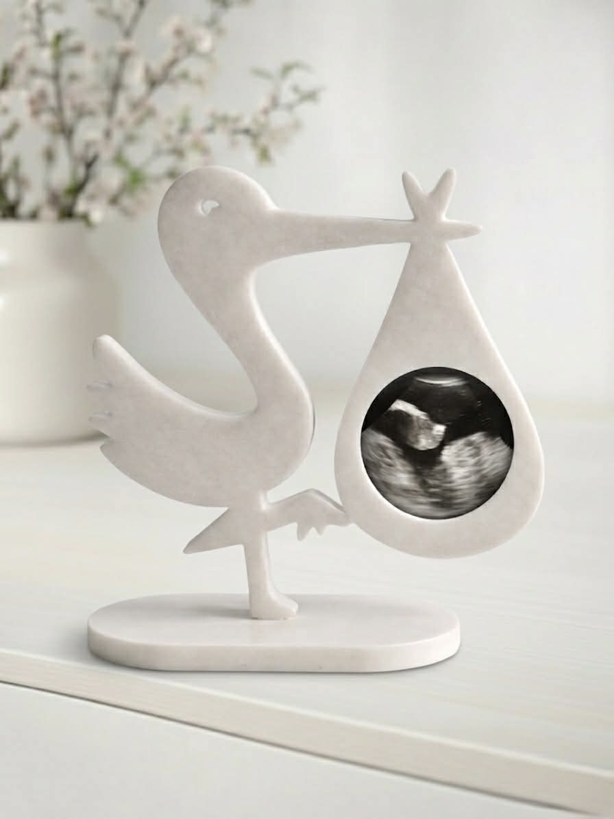 Ooievaar Sonogram Houder